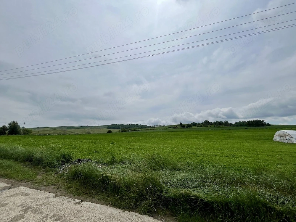 Teren intravilan 10.000 mp   aproape de centru, parcelabil, toate utilitățile