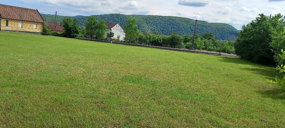 casă lntre Zam și Săvârșin 6400 mp intravilan zonă foarte bună