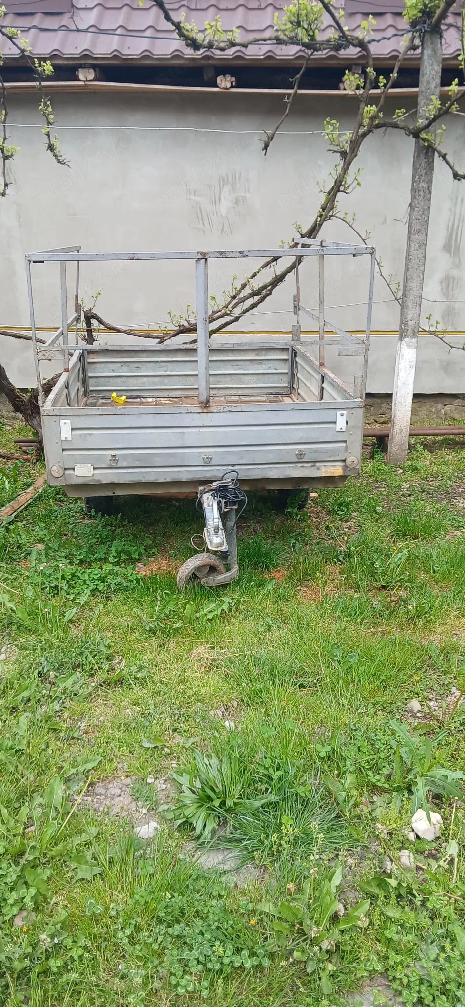 Schimb remorcă cu vițel