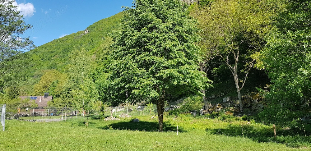 Teren Râul Mare - Retezat