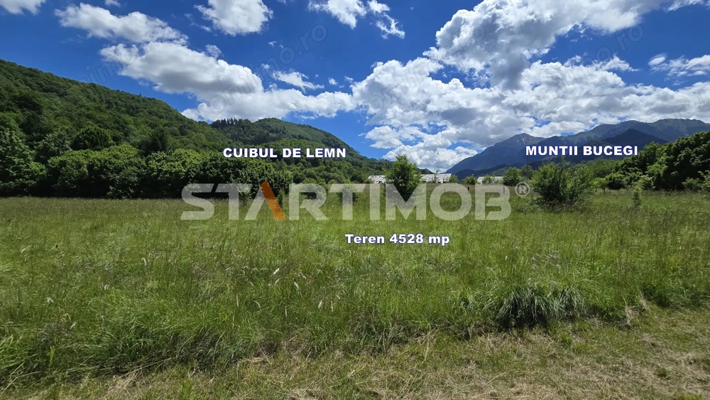 Teren extravilan Glajarie zona Cuibul de Lemn