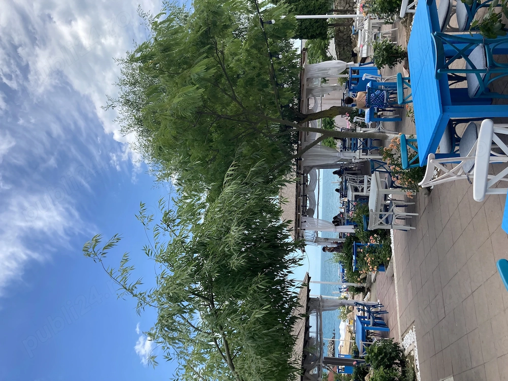 Restaurant Caru  cu scoici angajeaza! 