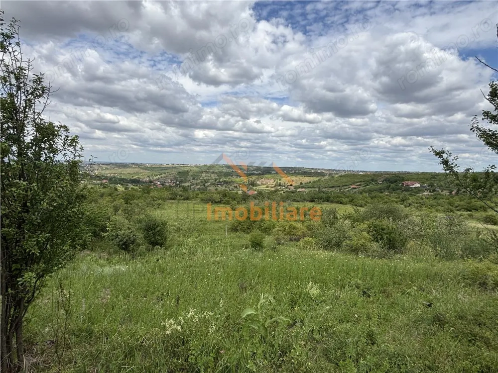 TEREN INTRAVILAN  | 1.824 MP  | DEALURI  | ORADEA