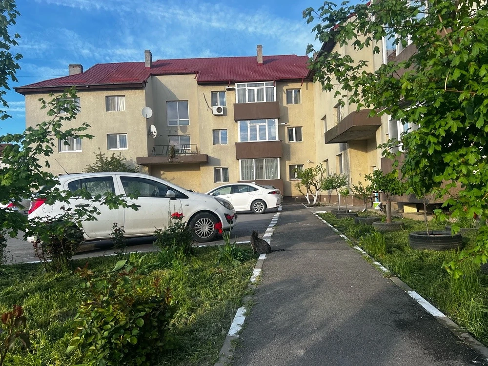 rog seriozitate