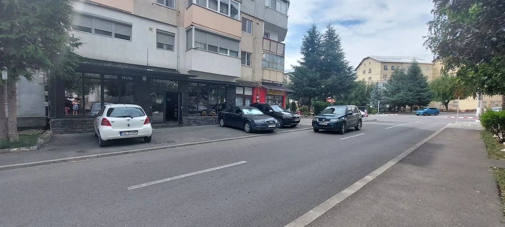 Vand Spatiu Comercial Fieni- Central