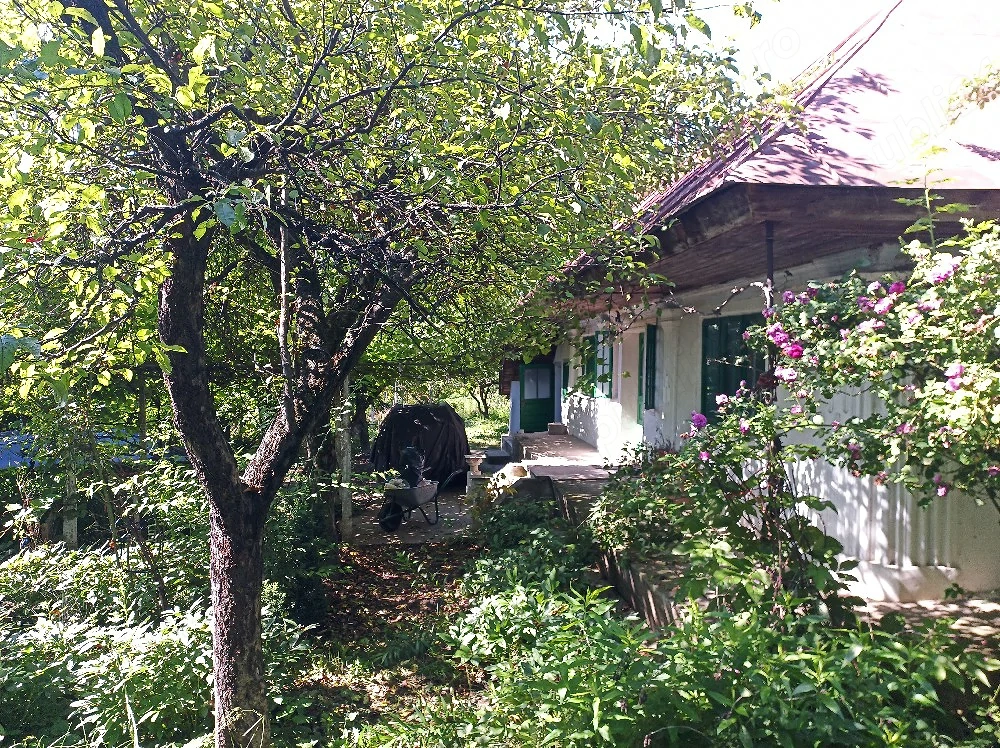 casa Itesti judetul Bacau