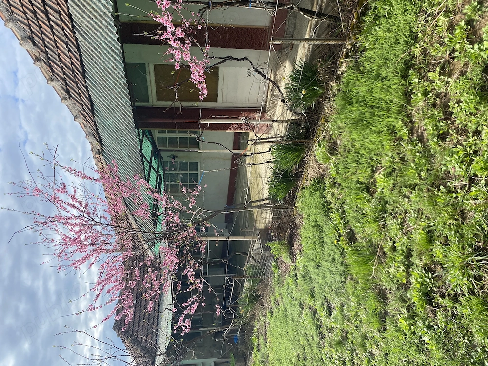 Vanda casă în Cordau