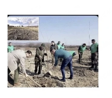 Căutăm de muncă suntem o echipă bună! Ai nevoie de oameni! 