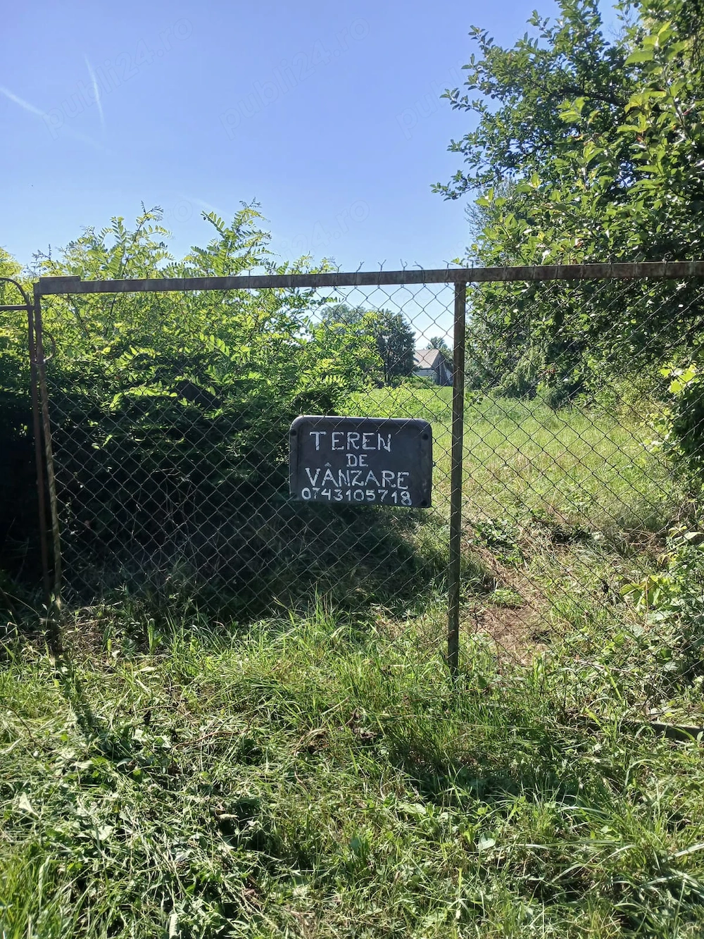 Teren de vanzare 1000mp Valea lui Mihai