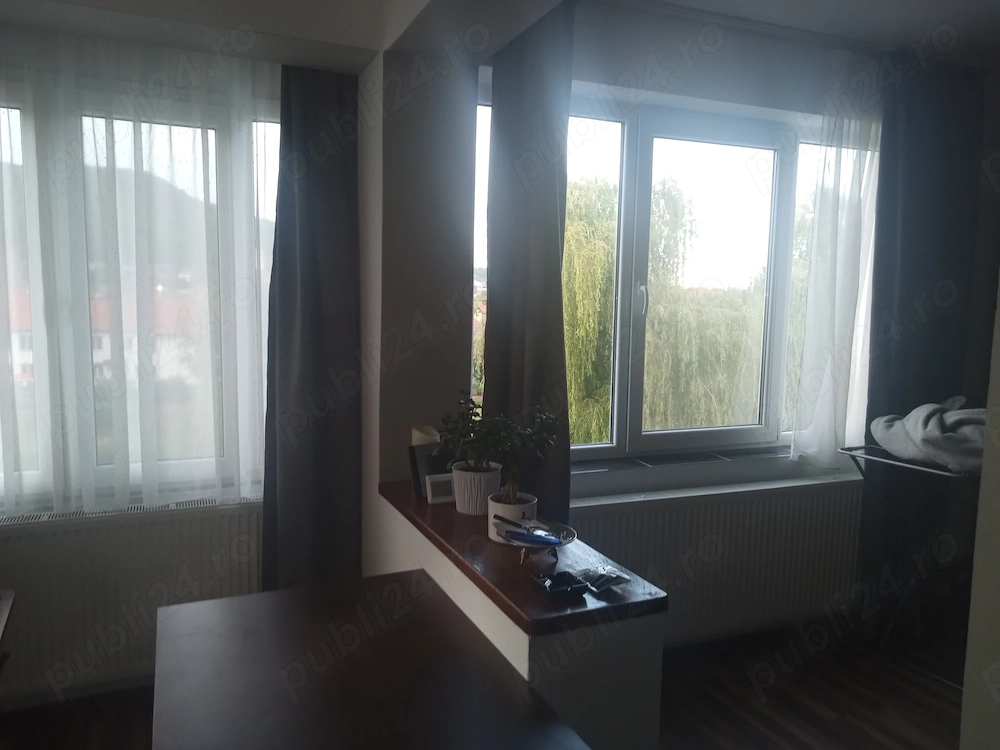 Monolocal de vanzare