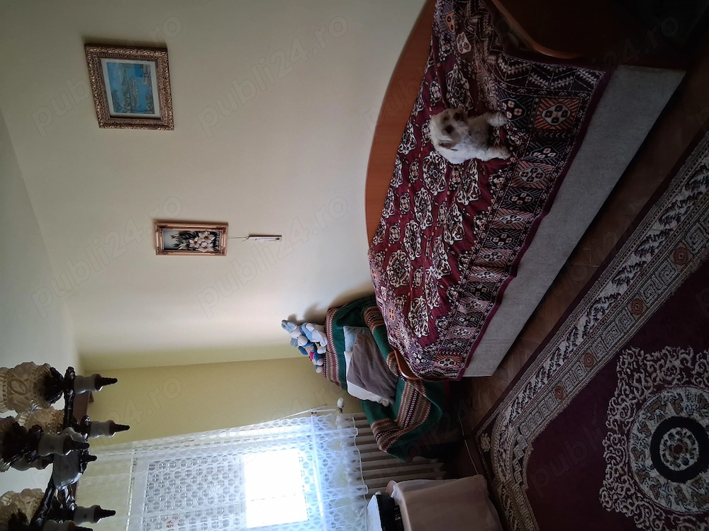Apartament 3 camere Timișoara - poza 3