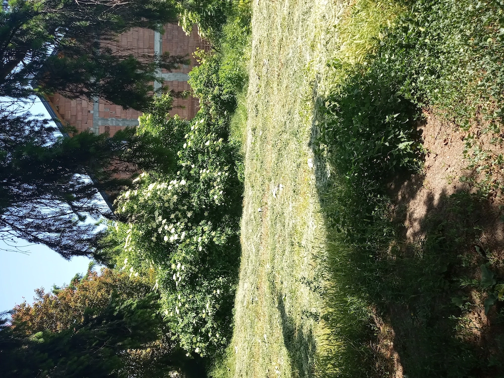 Teren 11000 mp și casa 200 mp