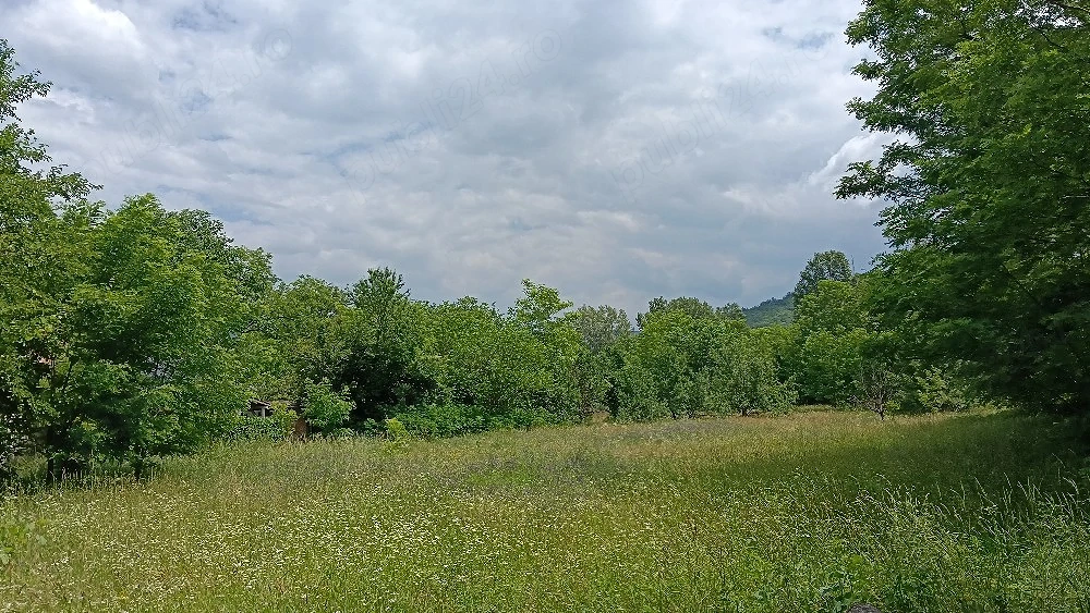 Teren intravilan 1512 mp   Oras Pătârlagele Buzau   Schimb