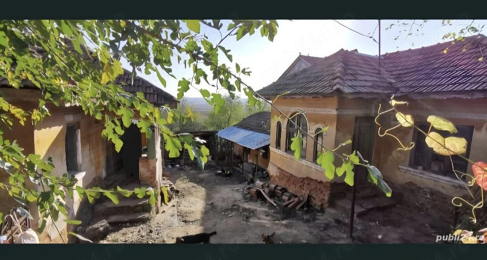 Case si teren Cotofenii din Fata
