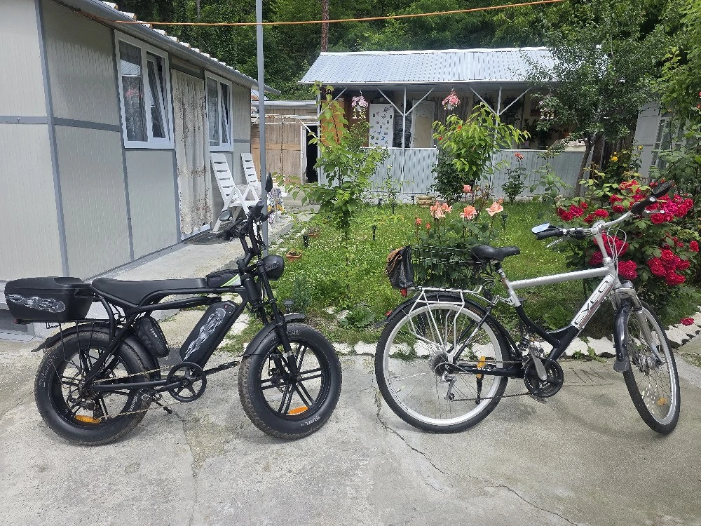 Bicicleta electrică +Bicicleta 