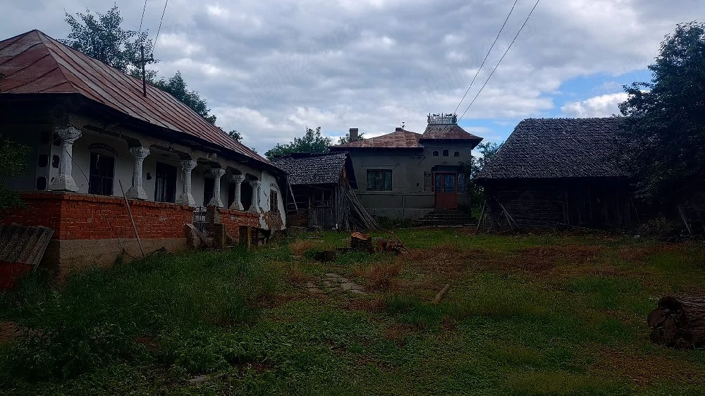 Gospodărie rurala, casa, terenuri 
