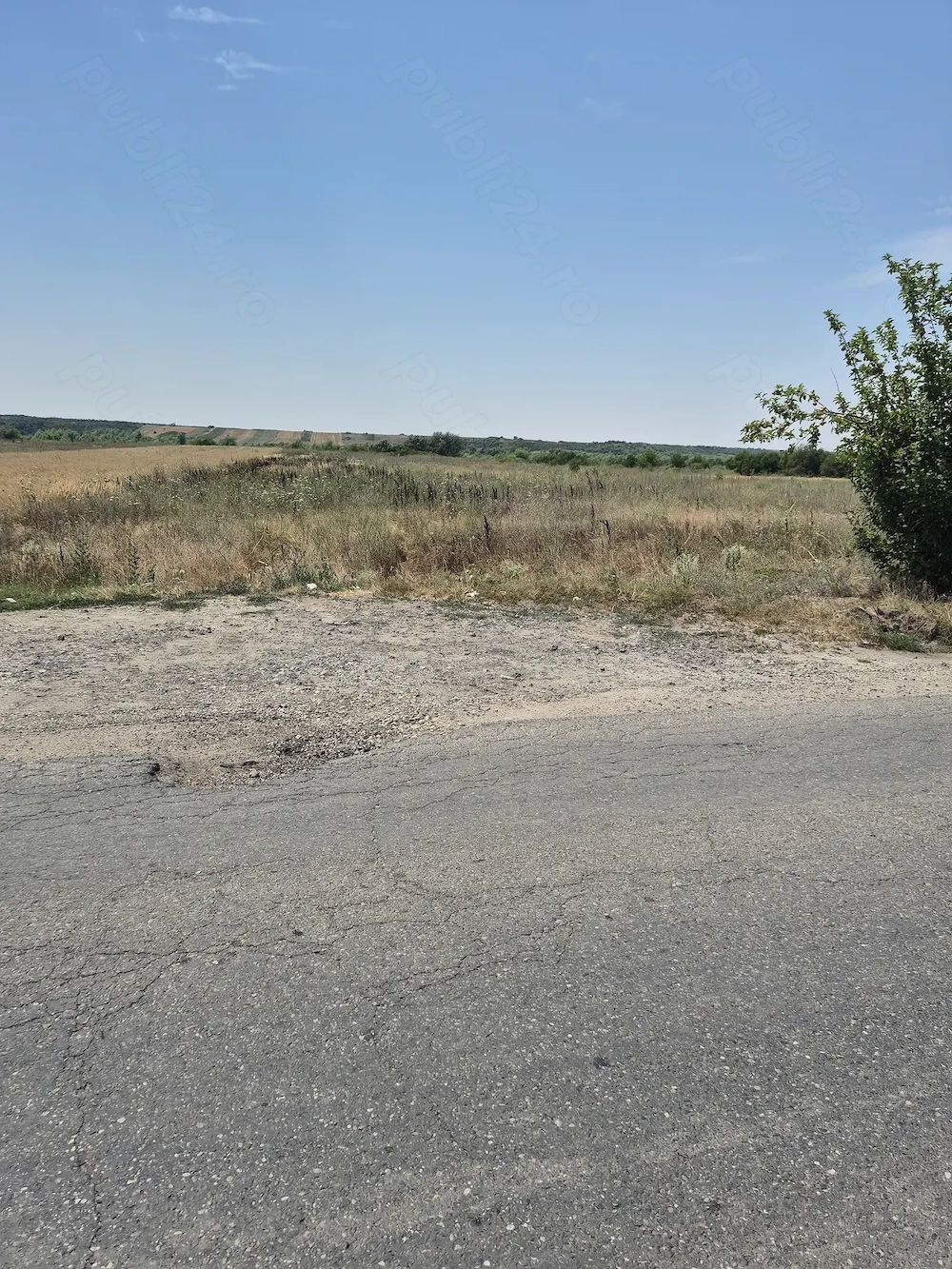 Teren 3700 mp DJ + utilități, 19 m deschidere, Cartojani Giurgiu