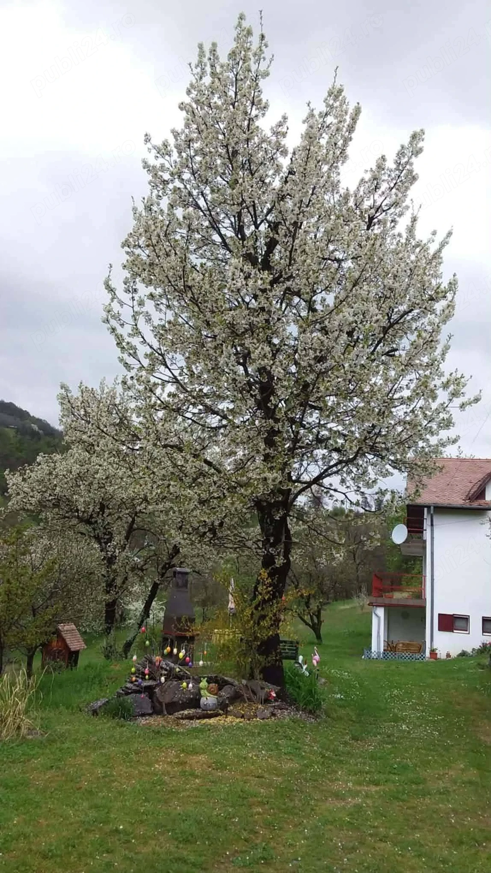 Casă cu gradină  de vânzare 