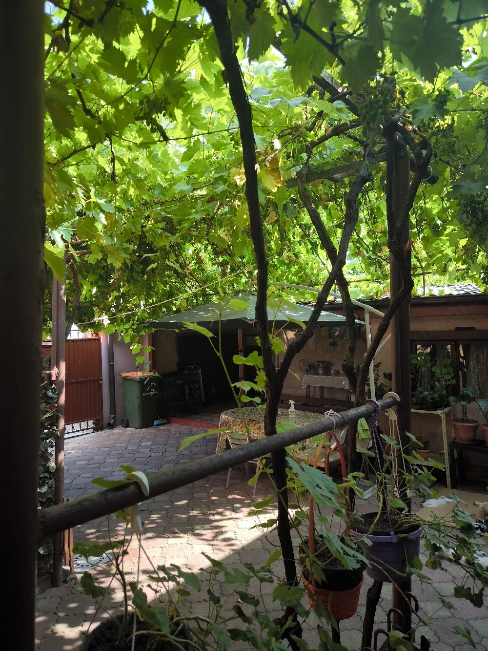 Vand casa curte zona Bucurestii Noi.