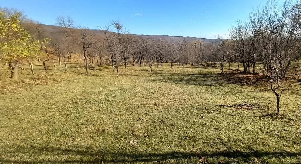 Livada cu pomi fructiferi