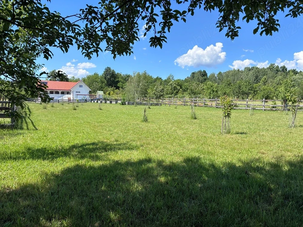 casa deosebita Novaci Transalpina