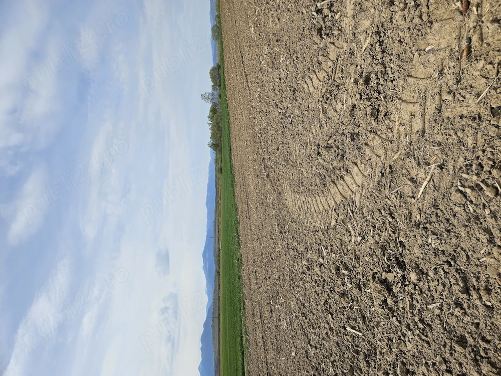 Vanzare teren agricol 