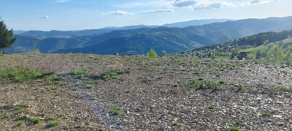 Teren de vanzare in sat Preluca comuna Horea judetul Alba
