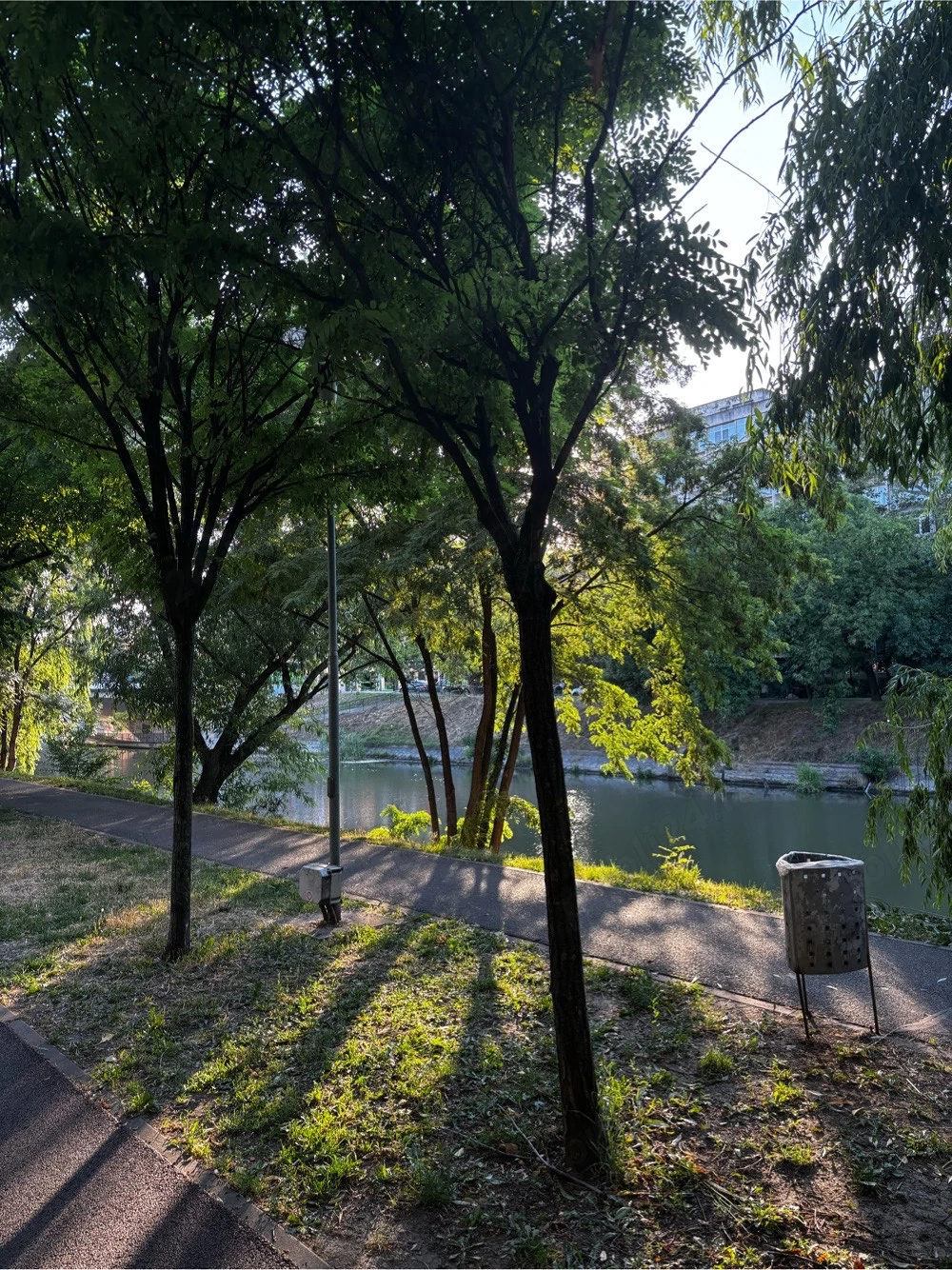 Apartament de vanzare Zona Iosefin