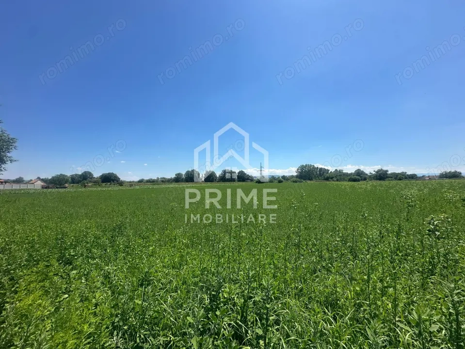 Teren Intravilan 29.100 mp| 2 FRONTURI STRADALE| zona Vurpăr