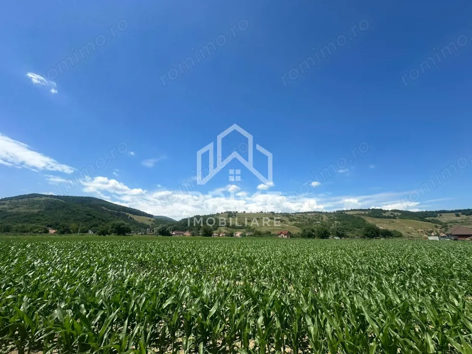 Teren Intravilan 6.200 mp| acces direct la râul Mureș| zona Vurpăr