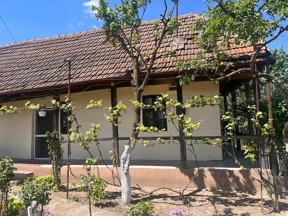 Casa de vanzare in jud.satu mare