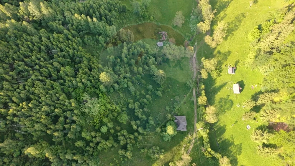 Teren 38,704mp Sirnea | 2.000 mp Intravilan | 36,704 Extravilan