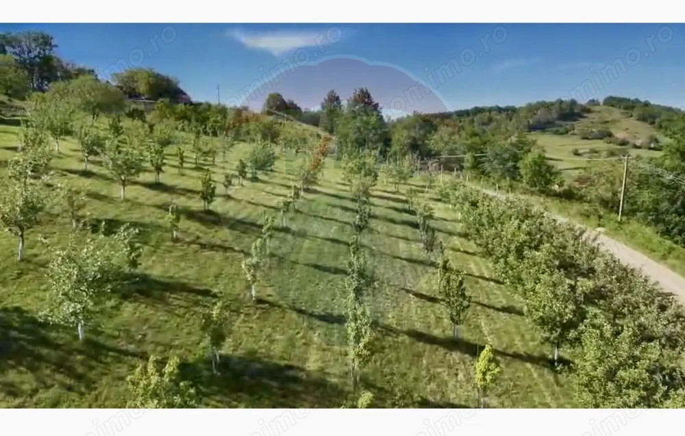Teren  20.170mp   | Livada | Suncuius, Bihor