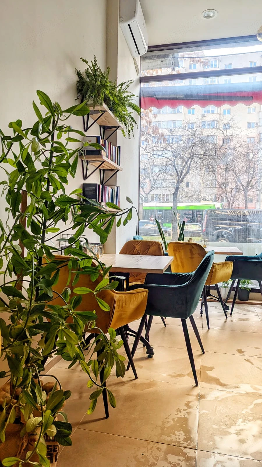 Angajam BARISTA (full-time) - Cafenea de specialitate