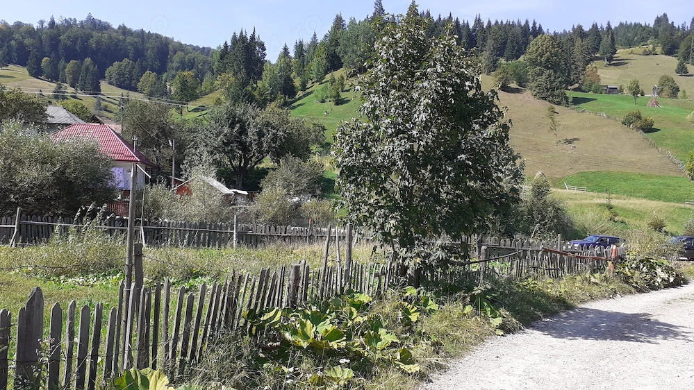  Poiana Teiului , sat dreptul , Jud. Neamț. Vanzare teren intravilan 716 mp