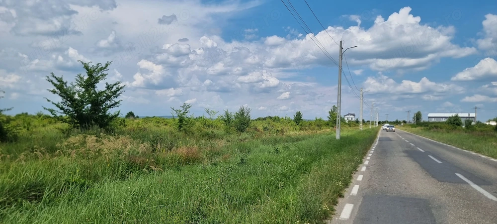 Vand 8000 mp teren in Bradu, drumul Cetului, la asfalt