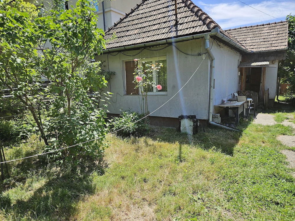Casa Mihai Eminescu Baia Mare 