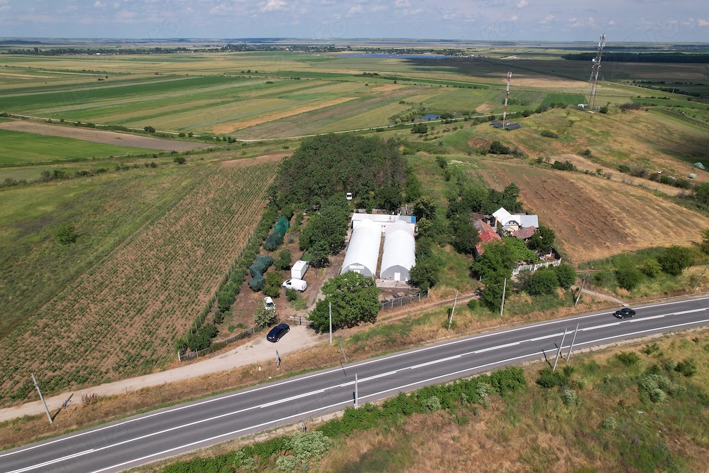 Afacere la cheie - Ciupercarie Champignon 8000m2 + livada 