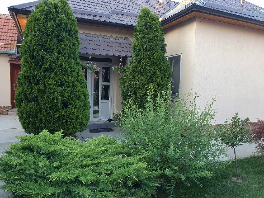 Casă în zonă foarte bună , în Chișineu-Criș 