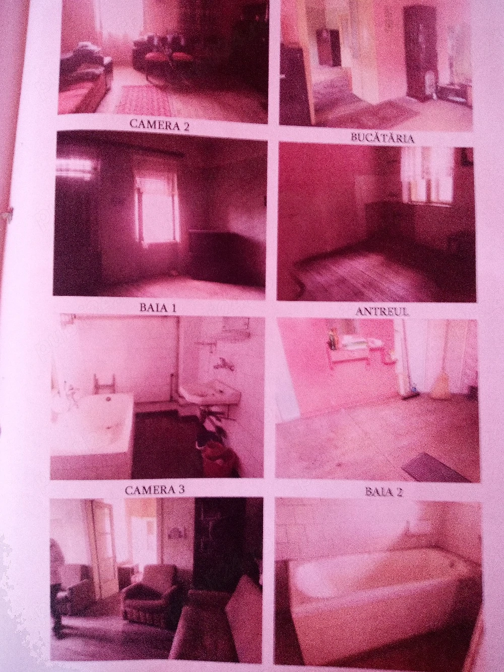 Imobiliar Salonta 