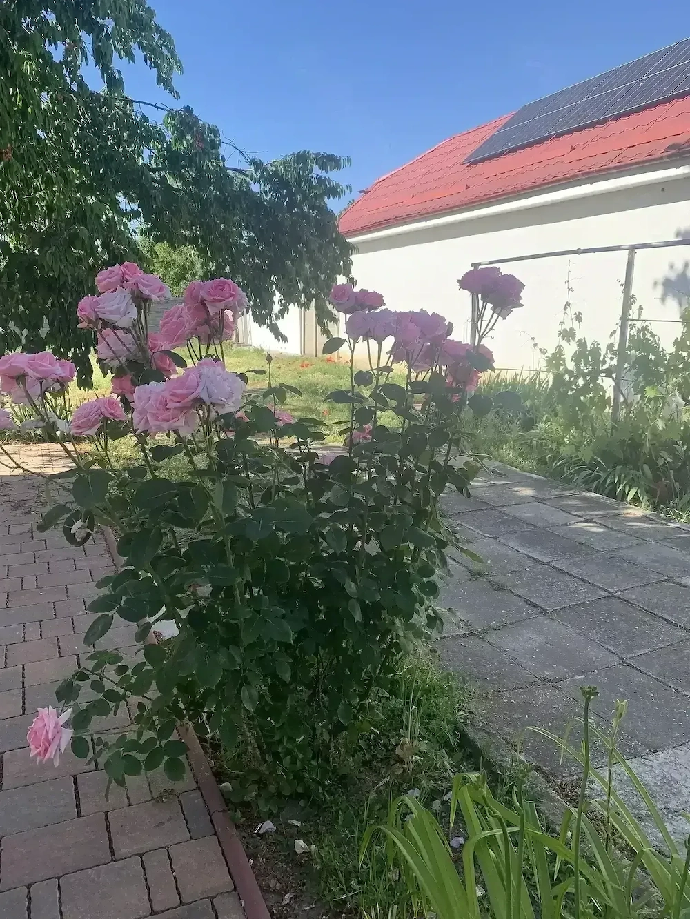 casa de închiriat ,oraș deta , jud timiș