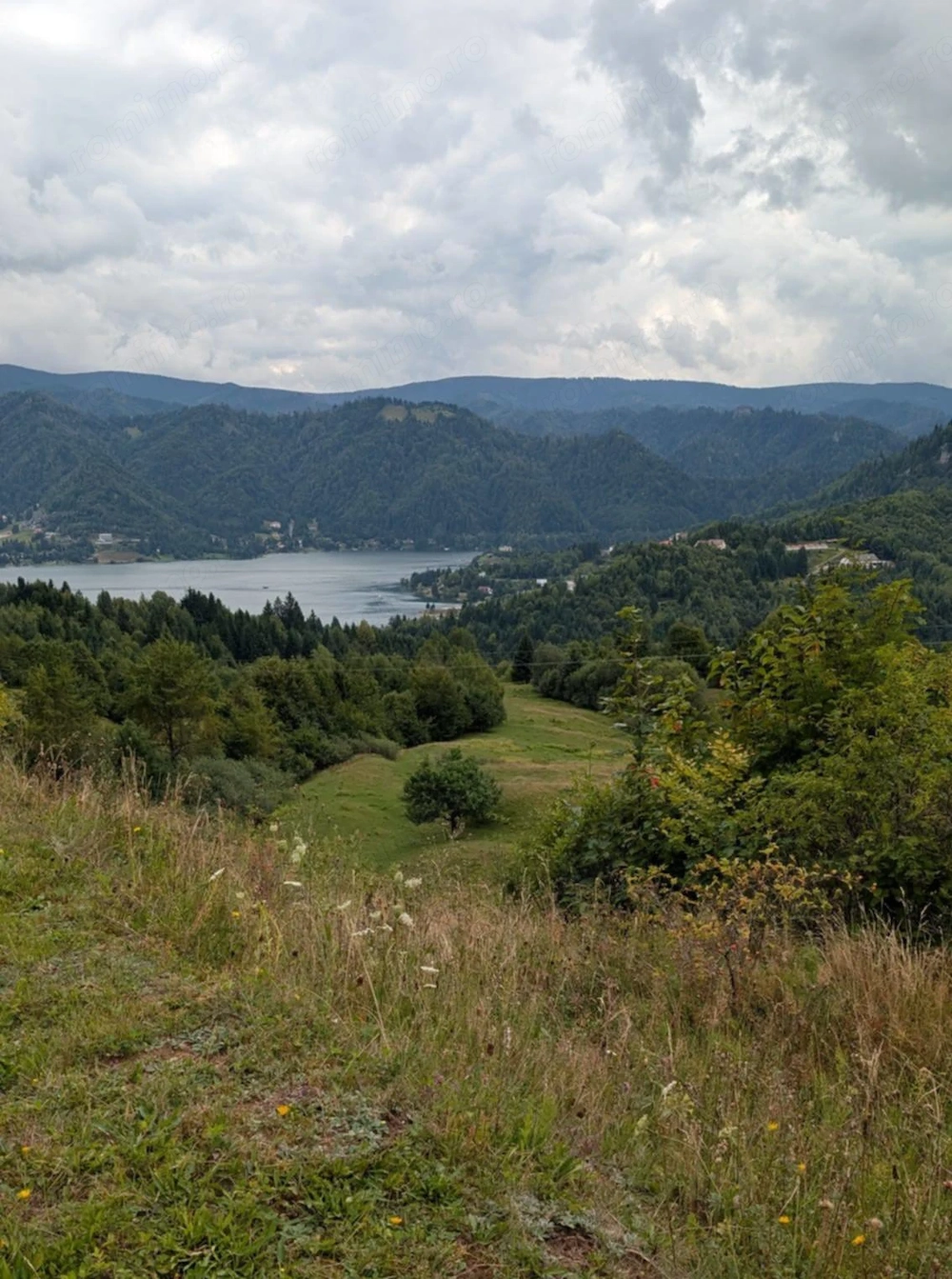 Teren 550 mp ,panorama lac Colibita