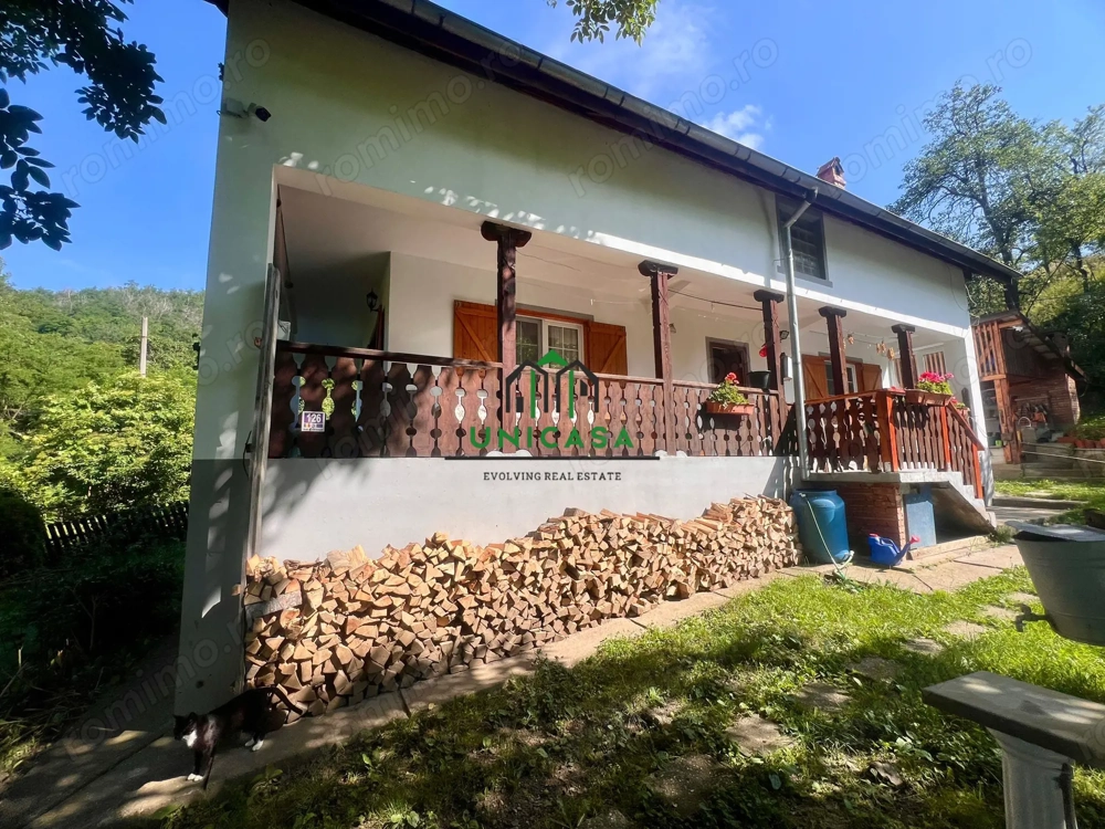 Casa cu teren generos 2919 mp/ Sat Andreesti / Comuna Mueresca