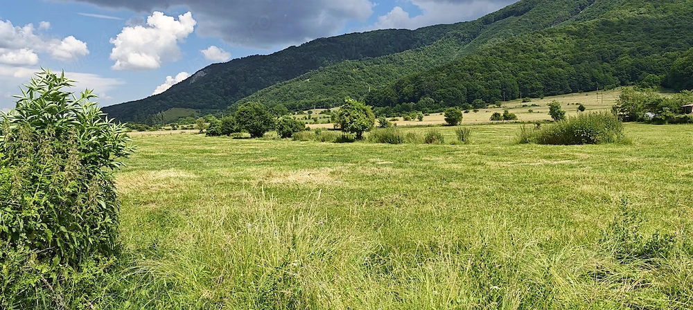 Teren intravilan - padure de agrement - in Brasov.
