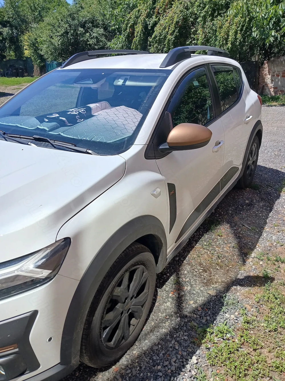 Stepway Sandero Extreme ecog100 