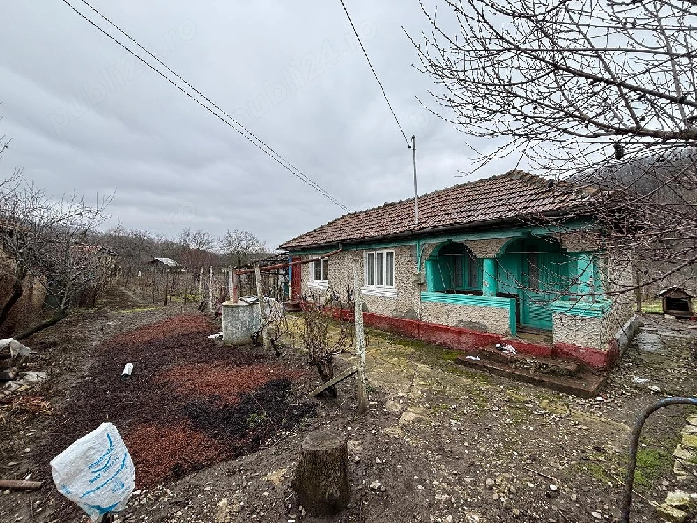 vand casa + teren agricol sa Ceptura de Sus