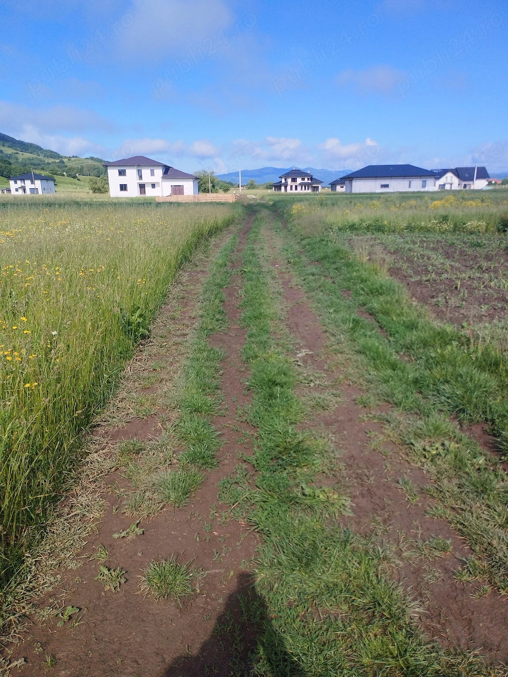 Vând teren zona Bivolarie