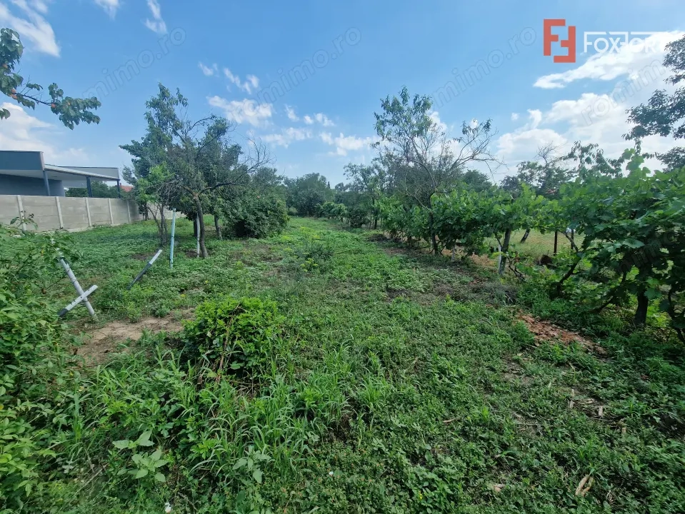 Teren de vanzare, ideal pentru construire casa/duplex
