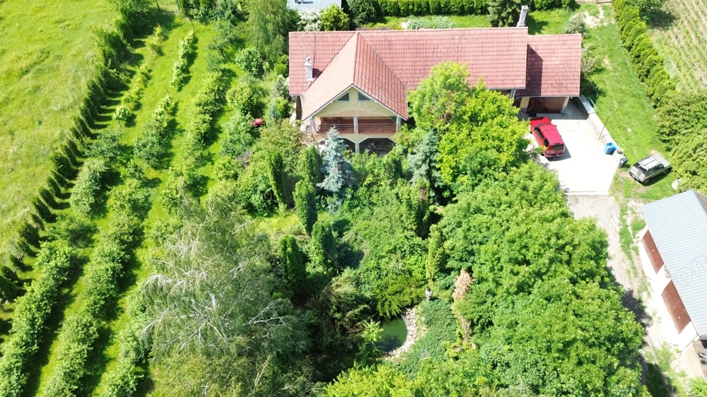PROPRIETATE PREMIUM CU 4.534 MP TEREN- REGHIN STRADA POMETULUI