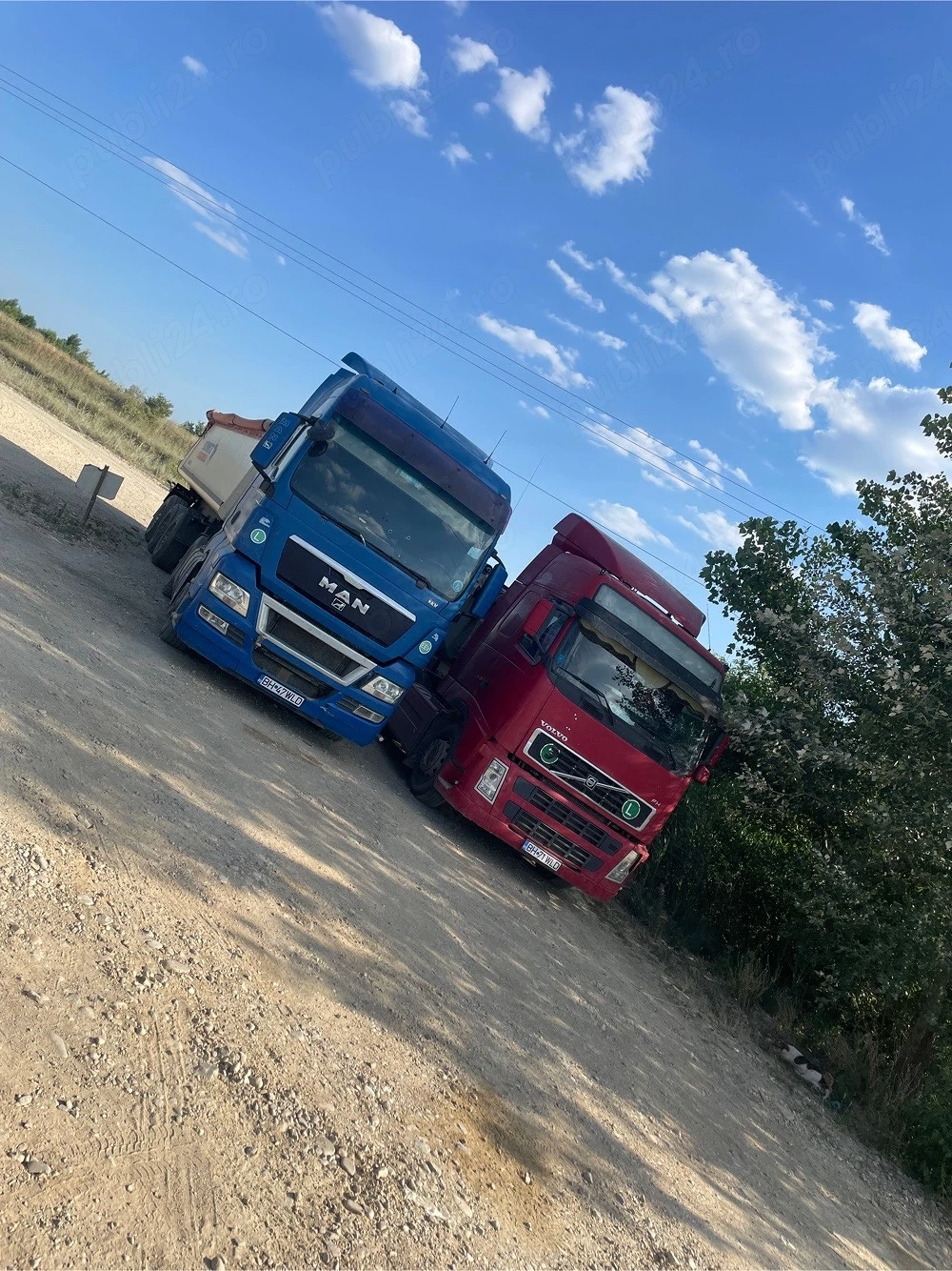 Angajez sofer C+E bascula local